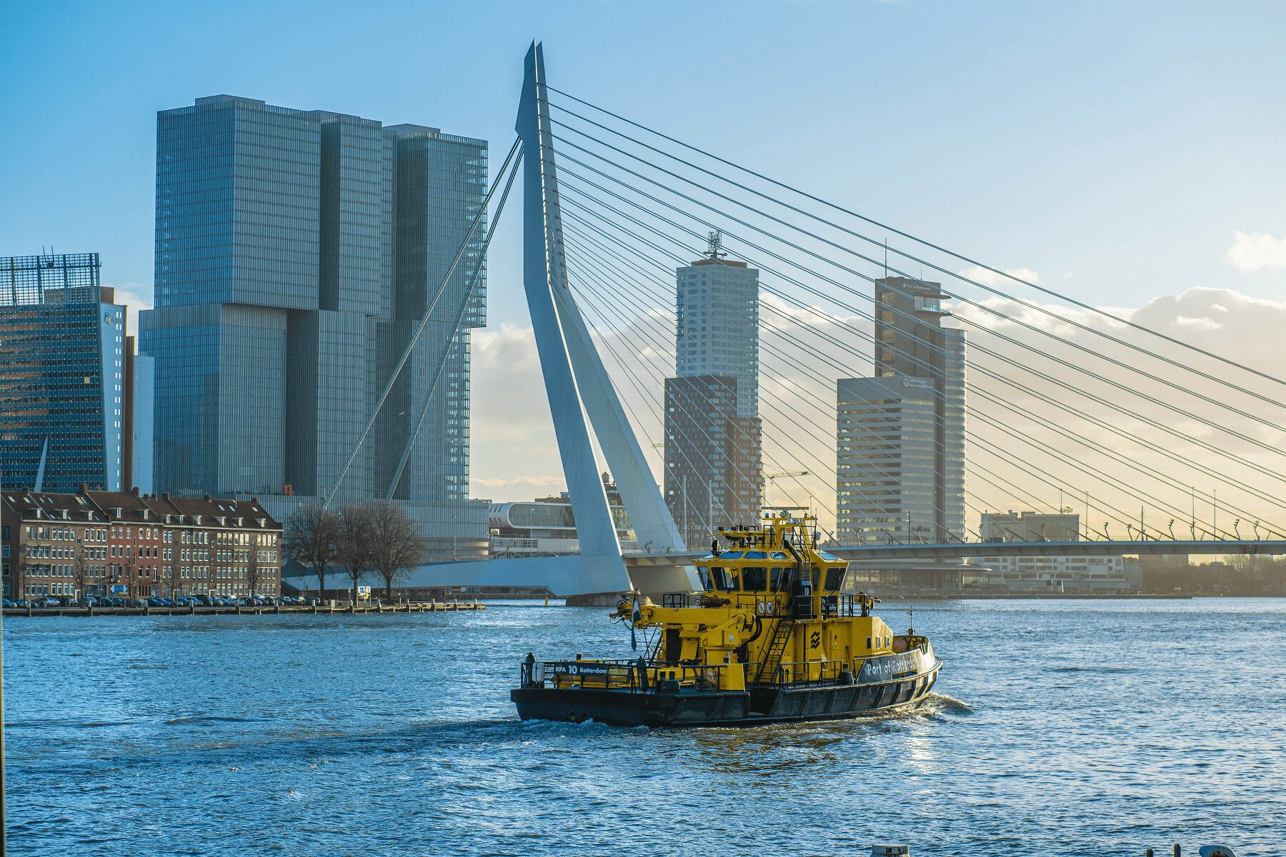 Rotterdam skyline